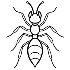 Fire Ant line art vector