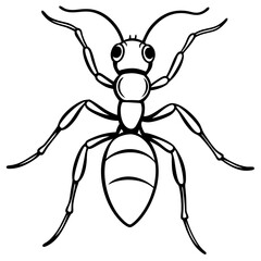 Fire Ant line art vector