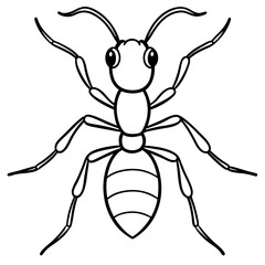 Fire Ant line art vector