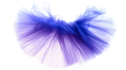 Elegant Tutu Tutu with Tulle Layers, Capturing Lightness and Movement