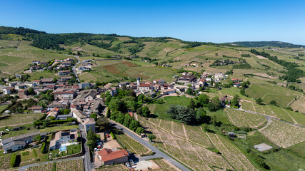 Fototapeta premium Paysage pittoresque du vignoble du Beaujolais autour du village de Chiroubles au printemps