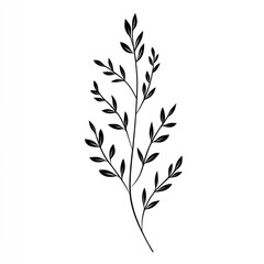 Naklejka premium Simple black sprig, minimalist botanical illustration, white background, design element