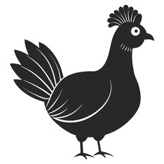 Fototapeta premium Simple Monochrome Vector Graphic Illustration Of A Hen With Crest On White