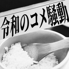 コメ不足 により 米価高騰 が 社会問題 となる 【 令和の米騒動 】
