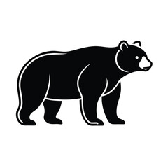 bear vector illustration