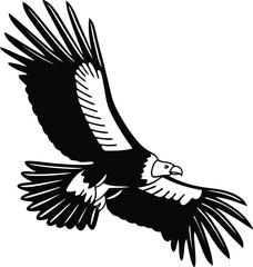 Obraz premium Soaring Silhouette: A powerful bird of prey gracefully glides through the air, its silhouette defined against the backdrop of a clear sky. The image embodies the spirit of freedom.