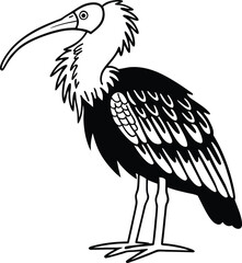 Fototapeta premium Elegant Ibis: A black and white illustration of an ibis, showcasing its long, downward-curving beak and slender legs. The bird stands in a serene pose.