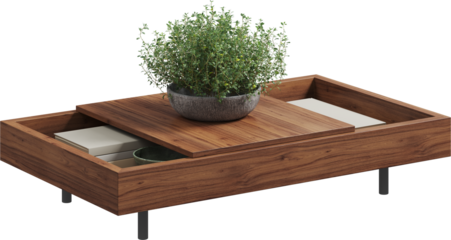Top view of wooden coffee table with plant and books