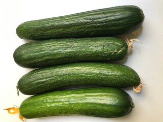 Cucumber