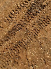Tire tracks on wet soil with visible tread pattern