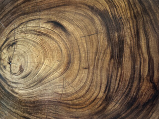 terrazzo, solid surface, grey, dark grey, texture, terrazzo flooring, colorful, stone, cut, small, quartz, granite tiles, granite terrazzo, interior, architecture, architectural, interior design, mate