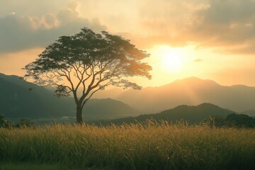Fototapeta premium Solitary Tree Beneath Sunset Kissed Hills - Golden Hour Serenity