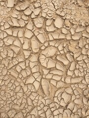 Desert