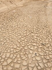 Desert