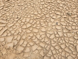 Desert