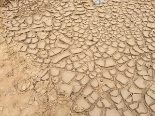 Desert
