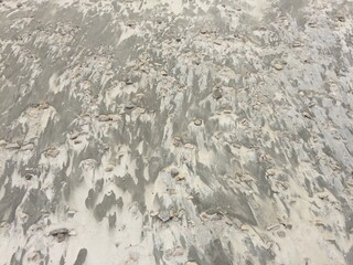 Desert