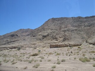desert