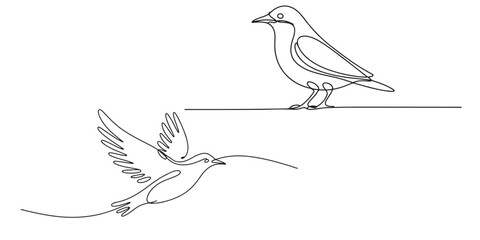 One Line Drawing Minimalist Bird Illustration, Continuous Line Drawing of Birds Perched and in Flight, One Line Drawing of Two Birds Flying and Perched