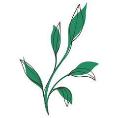 Decorative Green Branch with Simple Brush Line Decorations. Colorful foliage with cute line sketches of branches isolated on white background. Nature herb perfect for invitations, cards, posters
