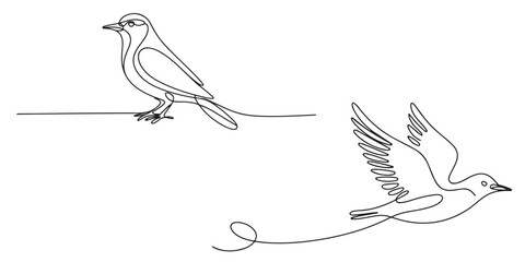 One Line Drawing Minimalist Bird Illustration, Continuous Line Drawing of Birds Perched and in Flight, One Line Drawing of Two Birds Flying and Perched