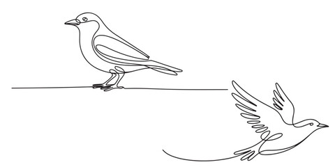One Line Drawing Minimalist Bird Illustration, Continuous Line Drawing of Birds Perched and in Flight, One Line Drawing of Two Birds Flying and Perched