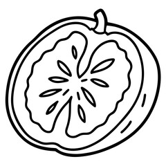 dried-fruit--icon-line-art-vector--