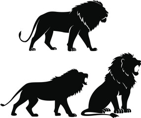 Silhouette lion roaring