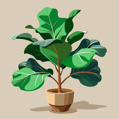 Fiddle Leaf Fig Plant in a Pot Home Decor Illustration