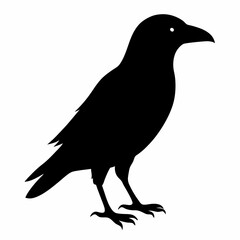 Fototapeta premium silhouette of a bird