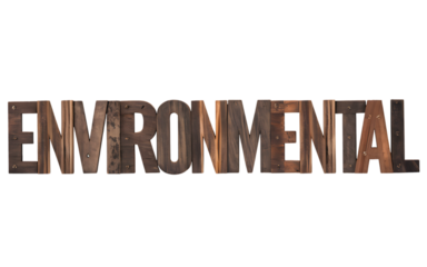 The word environmental carved from wood, isolated on a transparent background.