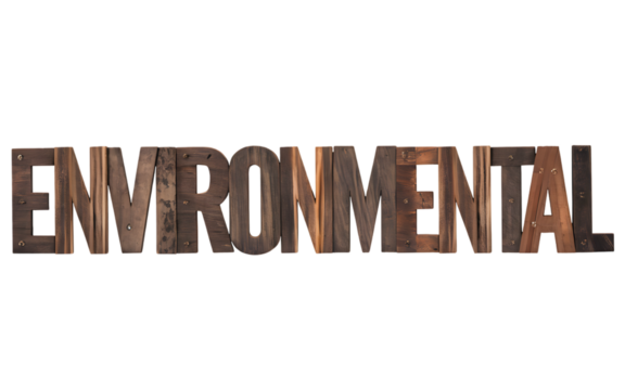The word environmental carved from wood, isolated on a transparent background.