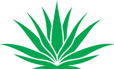 agave plant vector icon, agave logo Isolated on white background