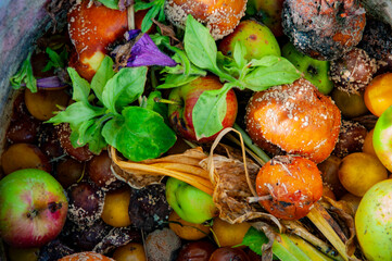 Rotten spoiled food leftover. Organic waste background. Leftover meals. Uneaten groceries. Kitchen...