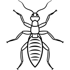 Termite line art vector