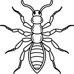 Termite line art vector