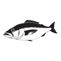 Mackerel fish on white background, seafood