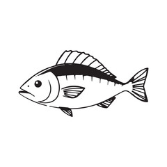 Mackerel fish on white background, seafood