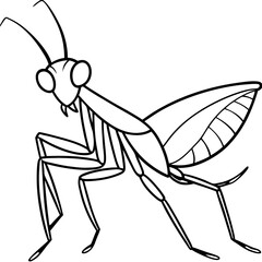 Praying Mantis line art vector