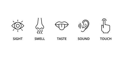 5 senses icon set: taste, sight, touch, smell, and sound