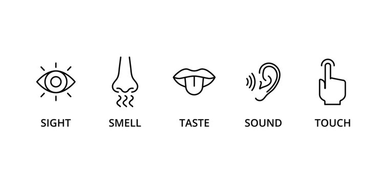 5 senses icon set: taste, sight, touch, smell, and sound
