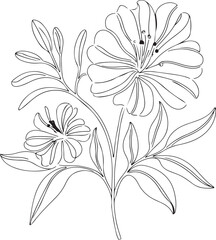 Elegant Line Art Floral Composition Silhouette