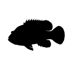 Silhouette of a fish, marine animal, aquatic life, wildlife, ocean creature, sea animal vector