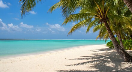 Obraz premium Tropical Beach with Palm Trees and Clear Water