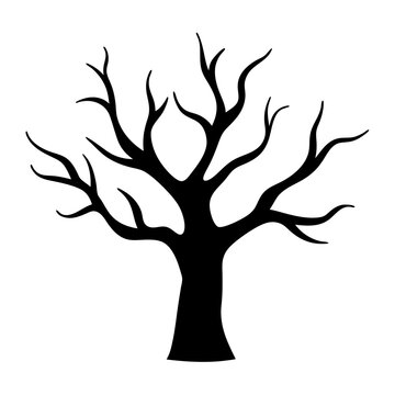 Silhouette of a bare tree with many branches against white background image