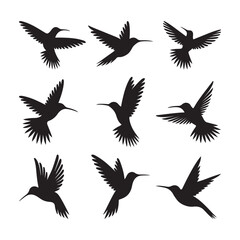 Hummingbird Silhouette Vector Set with Flying Poses 