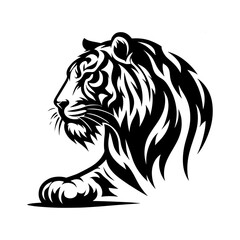 Black and white tiger portrait