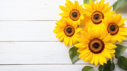 Obraz premium Yellow sunflowers on white wooden background with copy space. Fresh yellow flowers bouquet. Harvest season and agriculture floral background.