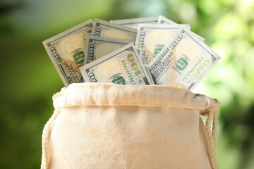 Money bag with dollar banknotes on blurred green background, closeup