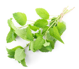 Fresh green lemon balm leaves isolated on white, top view